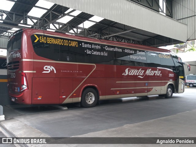 Santa Maria Fretamento e Turismo > Transportes Santa Maria(SP) 350 na cidade de São Bernardo do Campo, São Paulo, Brasil, por Agnaldo Penides. Número da foto: #8715424.