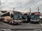 Santa Maria Fretamento e Turismo > Transportes Santa Maria(SP) 390 na cidade de São Bernardo do Campo, São Paulo, Brasil, por Agnaldo Penides. Número da foto: #8715418.