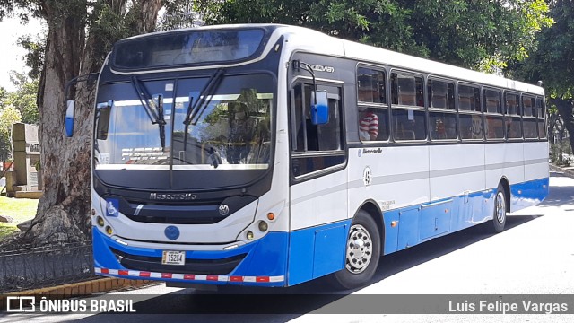 Buses Guadalupe 45 na cidade de San José, San José, Costa Rica, por Luis Felipe Vargas. Número da foto: #8718094.
