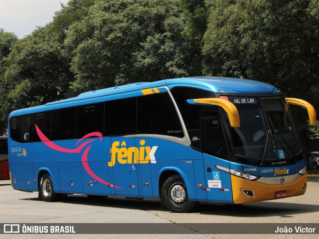 Rápido Expresso Fênix Viação 36525 na cidade de São Paulo, São Paulo, Brasil, por João Victor. Número da foto: #8804631.