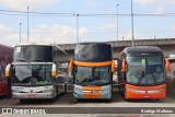 Pássaro Azul 2200 na cidade de São Paulo, São Paulo, Brasil, por Rodrigo Matheus. Número da foto: #:id.