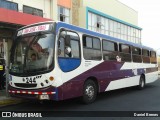 Coopana RL 244 na cidade de Merced, San José, San José, Costa Rica, por Daniel Brenes. Número da foto: #8802913.