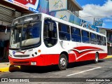 ATT - Autotransportes Tambor 04 na cidade de Alajuela, Alajuela, Alajuela, Costa Rica, por Antonio Estrada Soto. Número da foto: #8806427.
