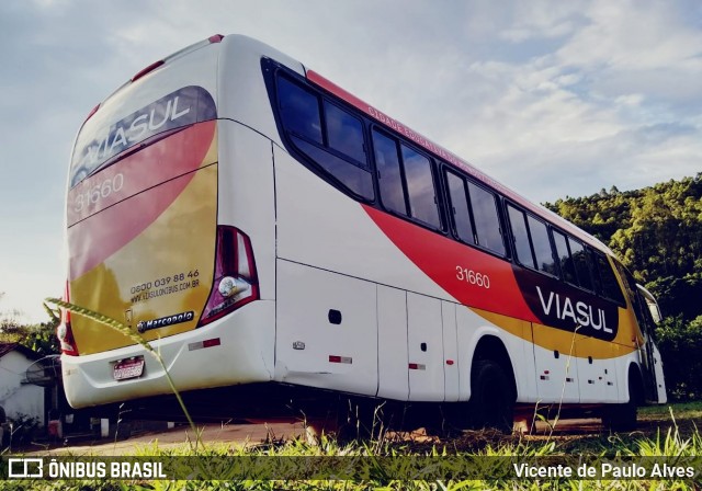 Viasul Transportes Coletivos 31660 na cidade de Itaúna, Minas Gerais, Brasil, por Vicente de Paulo Alves. ID da foto: 8809727.