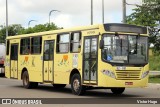 Empresa Menino Jesus de Praga 32-051 na cidade de São Luís, Maranhão, Brasil, por Victor Hugo. Número da foto: #:id.
