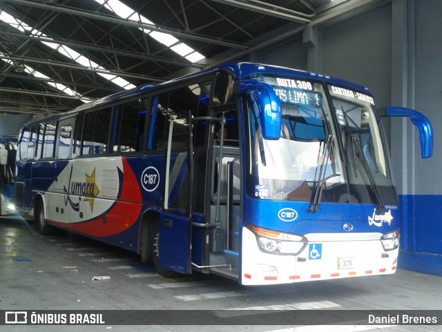 Lumaca C-187 na cidade de Catedral, San José, San José, Costa Rica, por Daniel Brenes. Número da foto: #8811468.