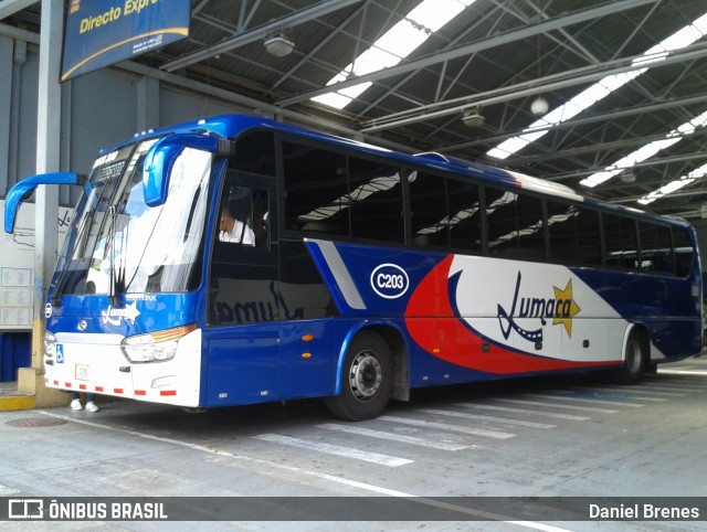 Lumaca C-203 na cidade de Catedral, San José, San José, Costa Rica, por Daniel Brenes. Número da foto: #8811438.