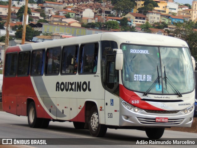 Rouxinol 530 na cidade de Belo Horizonte, Minas Gerais, Brasil, por Adão Raimundo Marcelino. ID da foto: 8815318.