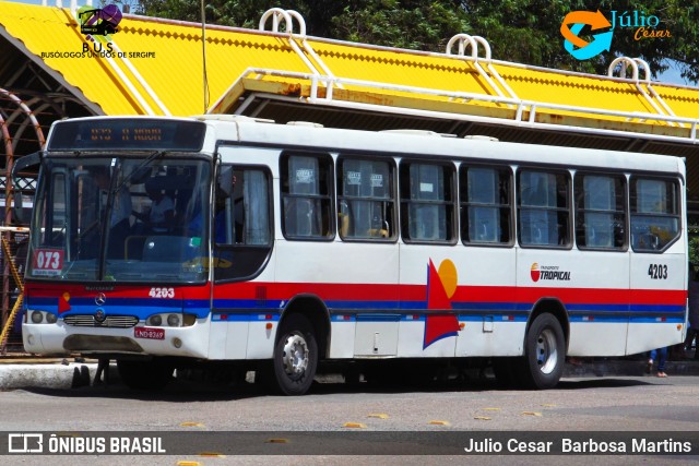 Transporte Tropical 4203 na cidade de Aracaju, Sergipe, Brasil, por Julio Cesar  Barbosa Martins. Número da foto: #8815069.