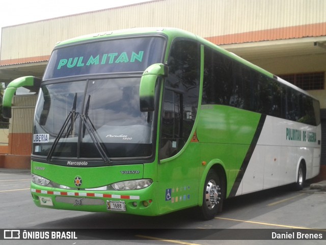 Pulmitan De Liberia LB 1688 na cidade de Cinco Esquinas, Tibás, San José, Costa Rica, por Daniel Brenes. Número da foto: #8815778.