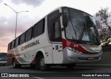 Rouxinol 375 na cidade de Belo Horizonte, Minas Gerais, Brasil, por Vicente de Paulo Alves. Número da foto: #8818656.