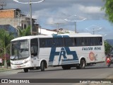 Falcão Real 1309 na cidade de Jacobina, Bahia, Brasil, por Rafael Rodrigues Forencio. Número da foto: #8820778.