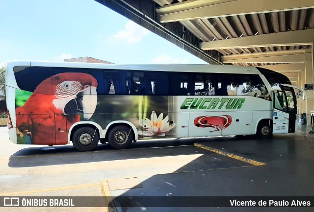 Eucatur - Empresa União Cascavel de Transportes e Turismo 4733 na cidade de Ribeirão Preto, São Paulo, Brasil, por Vicente de Paulo Alves. ID da foto: 8822702.