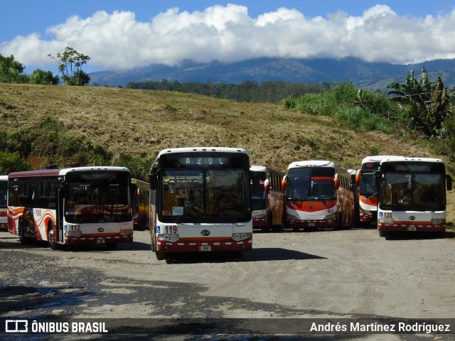 Ciparo 119 na cidade de Turrialba, Cartago, Costa Rica, por Andrés Martínez Rodríguez. ID da foto: 8826726.