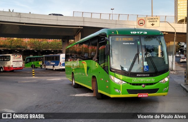 Pássaro Verde 19173 na cidade de Belo Horizonte, Minas Gerais, Brasil, por Vicente de Paulo Alves. ID da foto: 8824703.