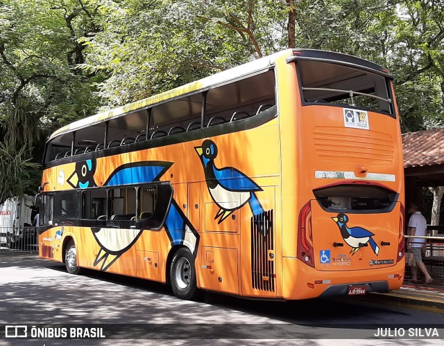 Parque Nacional do Iguaçu GRALHA-PICAçA na cidade de Foz do Iguaçu, Paraná, Brasil, por JULIO SILVA. Número da foto: #8824617.