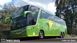 Pássaro Verde 12125 na cidade de São Carlos, São Paulo, Brasil, por Andre Luiz Spana. Número da foto: #:id.