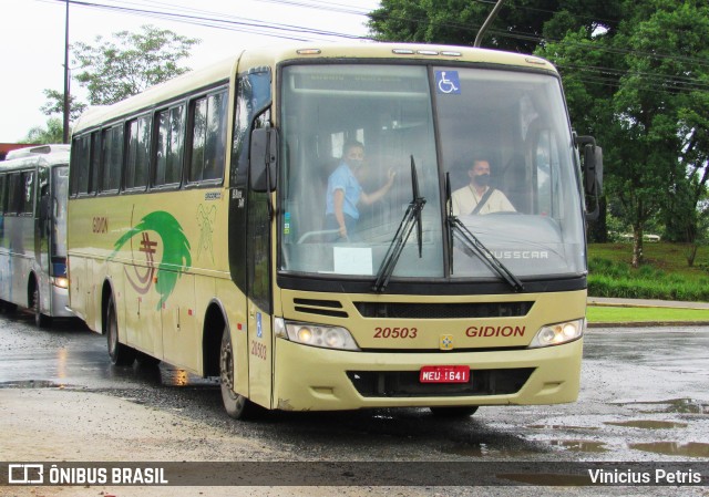 Gidion Transporte e Turismo 20503 na cidade de Joinville, Santa Catarina, Brasil, por Vinicius Petris. Número da foto: #8830371.