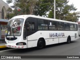 AMSA - Autotransportes Moravia 44 na cidade de San Vicente, Moravia, San José, Costa Rica, por Daniel Brenes. Número da foto: #8829784.