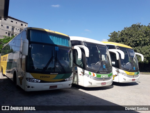Empresa Gontijo de Transportes 14950 na cidade de Eunápolis, Bahia, Brasil, por Daniel Santos. Número da foto: #8781235.