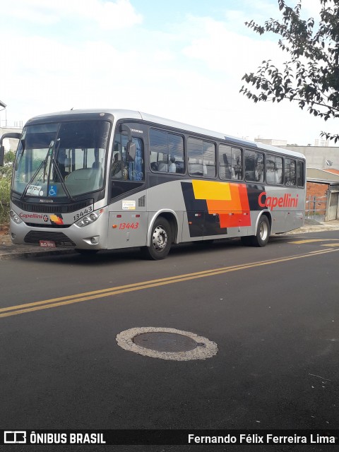 Transportes Capellini 13443 na cidade de Hortolândia, São Paulo, Brasil, por Fernando Félix Ferreira Lima. ID da foto: 8783685.