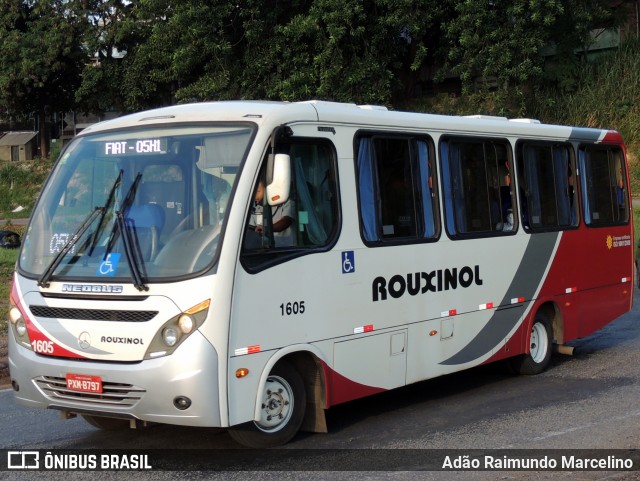 Rouxinol 1605 na cidade de Belo Horizonte, Minas Gerais, Brasil, por Adão Raimundo Marcelino. ID da foto: 8784028.