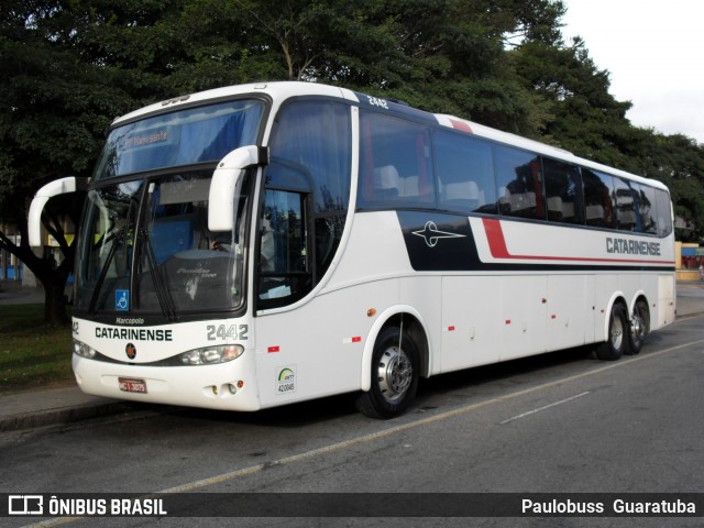 Auto Viação Catarinense 2442 na cidade de Curitiba, Paraná, Brasil, por Paulobuss  Guaratuba. Número da foto: #8836341.