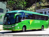 Pássaro Verde 19161 na cidade de Ponte Nova, Minas Gerais, Brasil, por Davi Neves. Número da foto: #:id.