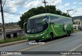 Pássaro Verde 11104 na cidade de Formiga, Minas Gerais, Brasil, por Vicente de Paulo Alves. Número da foto: #8841615.