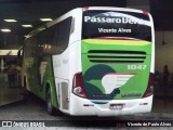 Pássaro Verde 1047 na cidade de Belo Horizonte, Minas Gerais, Brasil, por Vicente de Paulo Alves. Número da foto: #8841389.