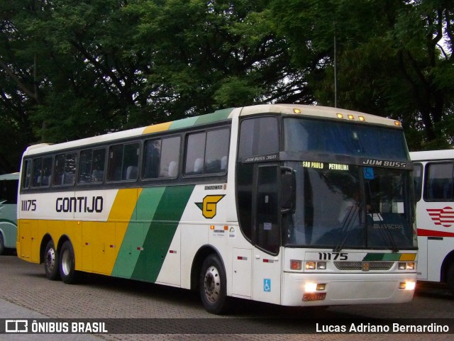 Empresa Gontijo de Transportes 11175 na cidade de São Paulo, São Paulo, Brasil, por Lucas Adriano Bernardino. ID da foto: 8845544.