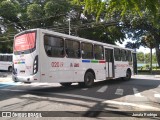 Consórcio Navegantes - 02 > Viação São Jorge > Transurb Transporte Urbano 02019 na cidade de João Pessoa, Paraíba, Brasil, por Jonata Rodrigo. Número da foto: #:id.