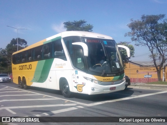 Empresa Gontijo de Transportes 18065 na cidade de Guarulhos, São Paulo, Brasil, por Rafael Lopes de Oliveira. Número da foto: #8848472.