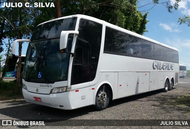 Gileade Turismo 0969 na cidade de Porto Alegre, Rio Grande do Sul, Brasil, por JULIO SILVA. Número da foto: #8851238.