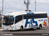 Falcão Real 23120 na cidade de Juazeiro, Bahia, Brasil, por João Victor. Número da foto: #8851008.