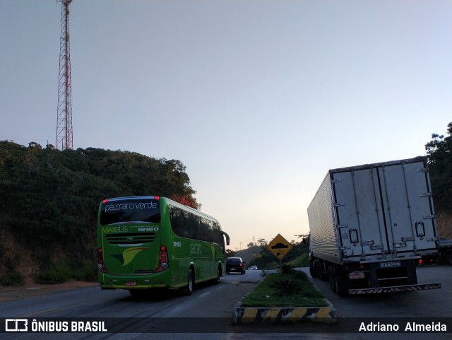 Pássaro Verde 19160 na cidade de Acaiaca, Minas Gerais, Brasil, por Adriano  Almeida. Número da foto: #8853932.