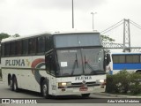 Pluma Conforto e Turismo 3907 na cidade de Florianópolis, Santa Catarina, Brasil, por Artur Velter Medeiros. Número da foto: #8855570.