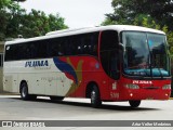 Pluma Conforto e Turismo 5108 na cidade de São Paulo, São Paulo, Brasil, por Artur Velter Medeiros. Número da foto: #8855541.