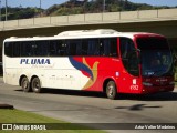 Pluma Conforto e Turismo 4125 na cidade de Florianópolis, Santa Catarina, Brasil, por Artur Velter Medeiros. Número da foto: #8855555.