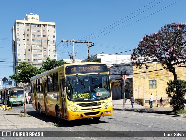 Independência > Trans Oeste Transportes 30443 na cidade de Belo Horizonte, Minas Gerais, Brasil, por Luiz Silva. Número da foto: #8857283.