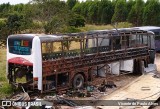 Sucata e Desmanches 3255 na cidade de Santo Antônio do Monte, Minas Gerais, Brasil, por Vicente de Paulo Alves. Número da foto: #8857998.
