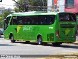 Pássaro Verde 1048 na cidade de Divinópolis, Minas Gerais, Brasil, por Pedro Henrique. Número da foto: #:id.