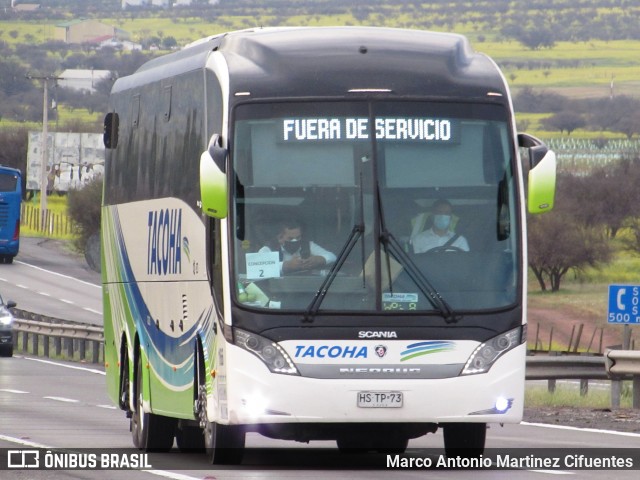 Tacoha 166 na cidade de Tiltil, Chacabuco, Metropolitana de Santiago, Chile, por Marco Antonio Martinez Cifuentes. ID da foto: 8792393.