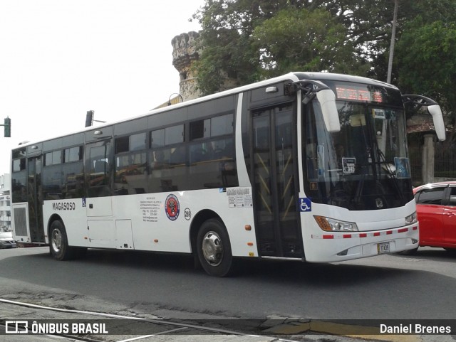 Magasoso 269 na cidade de Catedral, San José, San José, Costa Rica, por Daniel Brenes. Número da foto: #8792764.