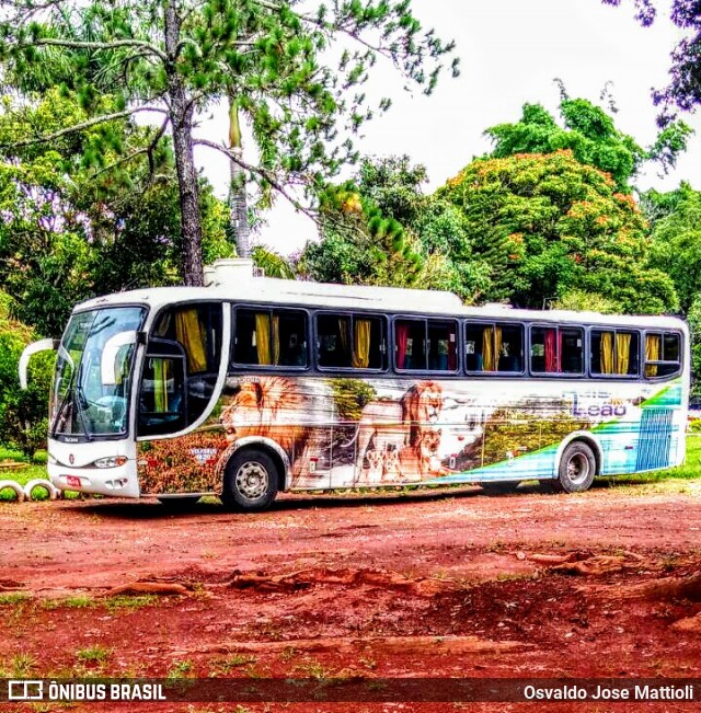 Reis Leão Tur 2404 na cidade de Betim, Minas Gerais, Brasil, por Osvaldo Jose Mattioli. Número da foto: #8795470.