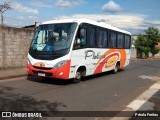 Viação Platina 0050 na cidade de Uberlândia, Minas Gerais, Brasil, por Pérola Freitas. Número da foto: #:id.