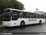 AMSA - Autotransportes Moravia 01 na cidade de San Vicente, Moravia, San José, Costa Rica, por Daniel Brenes. Número da foto: #8794863.