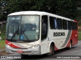 Rouxinol 1410 na cidade de Belo Horizonte, Minas Gerais, Brasil, por Adão Raimundo Marcelino. Número da foto: #8797632.