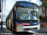 Viação Sul Fluminense 1217 na cidade de Volta Redonda, Rio de Janeiro, Brasil, por Matheus Martins da Silva. Número da foto: #8795386.