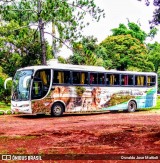 Reis Leão Tur 2404 na cidade de Betim, Minas Gerais, Brasil, por Osvaldo Jose Mattioli. Número da foto: #8795470.